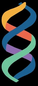 Amino Sequence