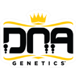 Dna Genetics