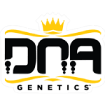 Dna Genetics