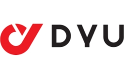 DYU Ebike
