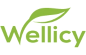Wellicy